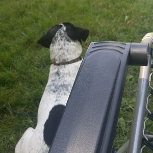 Meet your Posher, Jen